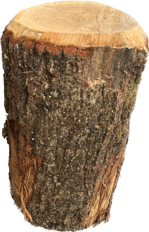scheitstock-zum-spalten-von-brennholz